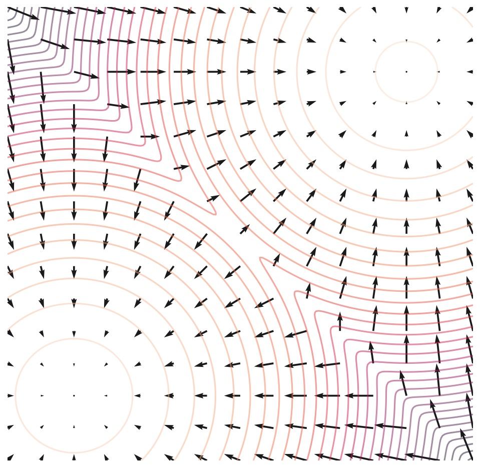 Score Function Visualization